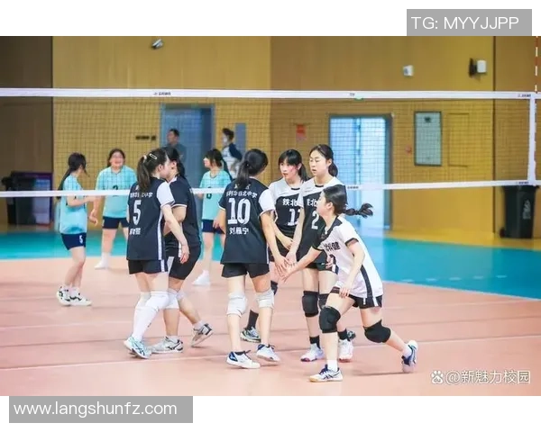 南京排球队选拔赛特别报道：从默默无闻到耀眼夺冠的奋斗之路
