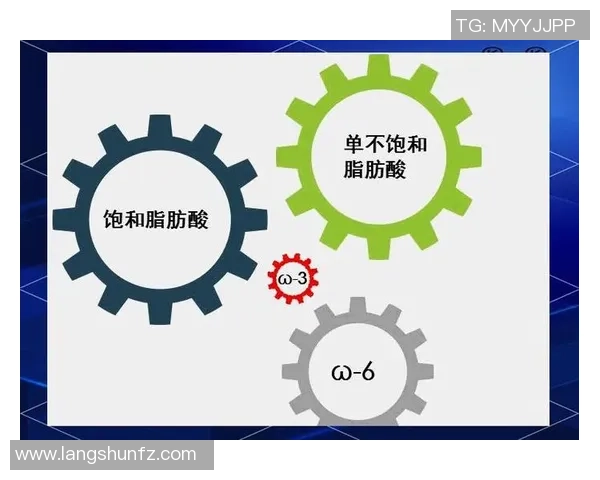 南京网球队实力深度解析与对比分析报告 南京网球队实力深度解析与对比分析报告